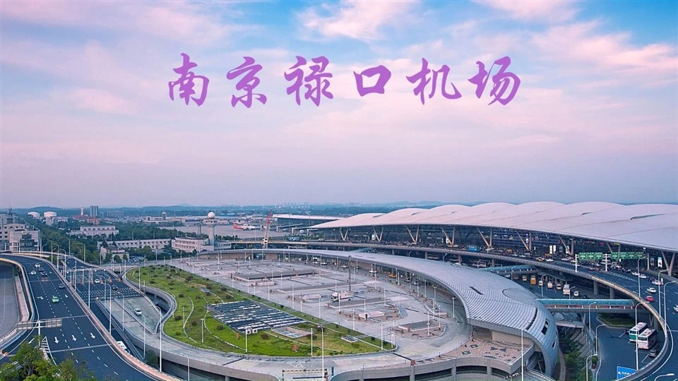 Nanjing Lukou Airport Transfer suppliers